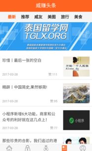 威賺 北京國聯中微網絡技術股份公司產品與服務解析